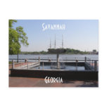 Summer in Savannah