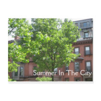 Summer In The City postcards