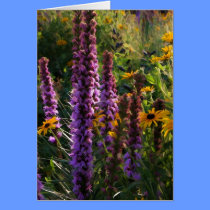 Summer in the Garden cards