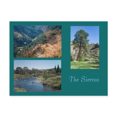 Summer in the Sierras Postcards by bluerabbit