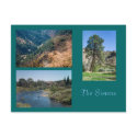 Summer in the Sierras postcards