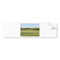 summer landscape bumper sticker