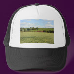 summer landscape