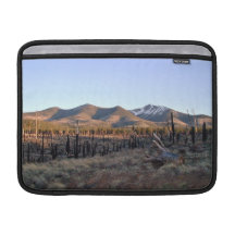 Summer Landscape MacBook Sleeves