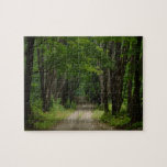 Summer Lane Puzzle