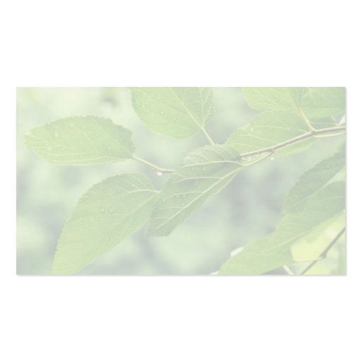 'Summer Leaves with Raindrops' Business Card (back side)
