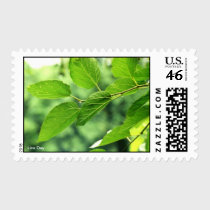 'Summer Leaves with Raindrops' Postage stamps