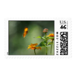 Summer Light postage