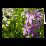 Summer Lilac and Daisies Blank Card