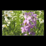 Summer Lilac and Daisies Sticker