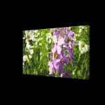 Summer Lilac and Daisies Stretched Canvas Print