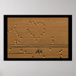 Summer Love Poster