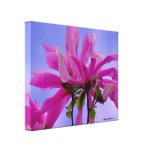 Summer Magnolias Wrapped Canvas Gallery Wrap Canvas