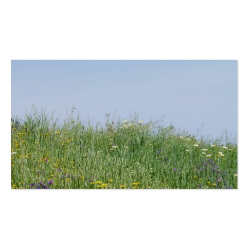 Summer Meadow Business Card (back side)