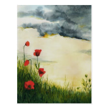 summer meadows post cards