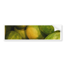 Summer means Watermelon bumper stickers