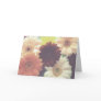 Summer Morning Daisy Flower Photo Greeting Card
