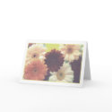 Summer Morning Daisy Greeting Card