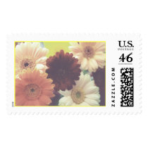 Summer Morning Daisy Stamp (Blank)
