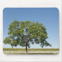 Summer on the Farm mousepads
