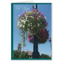 Summer on the plaza cards