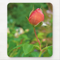 Summer Peach Rose Bud mousepads