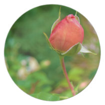 Summer Peach Rose Bud plates