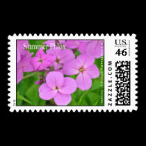 Summer Phlox Stamp