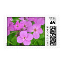 Summer Phlox Stamp by HodlinGallery Summer Phlox Stamp