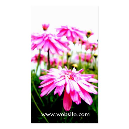 Summer!/Pink Gerbera Daisies Field Business Cards (back side)