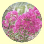 Summer Pink Plate plates