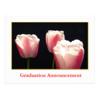 Summer pink tulip flowers graduation announcement postcard