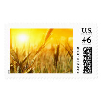 SUMMER stamps