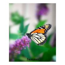 Summer posters