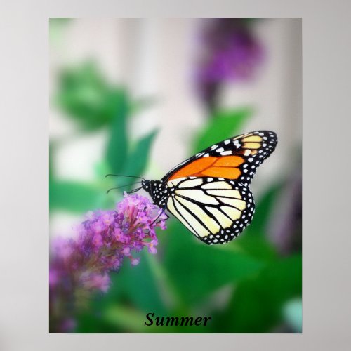 free coloring pages of flowers and butterflies. Butterfly Quotes - Feel free