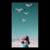 Summer posters