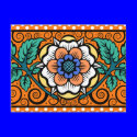 Summer Primrose in Orange - Postcard