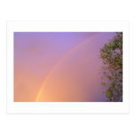 Summer Rainbow Post Cards