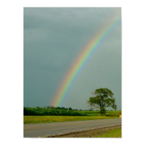 Summer Rainbow posters