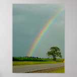 Summer Rainbow posters