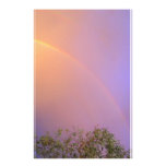 Summer Rainbow Stationery Design