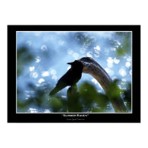 "SUMMER RAVEN" Photo Poster posters