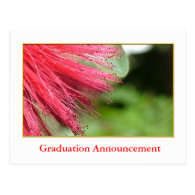 Summer red flower graduation announcement post card
