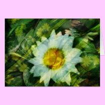 Summer Reflections cards
