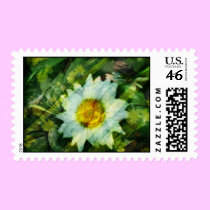 Summer Reflections stamps