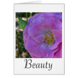 Summer Rose Beauty Card cards