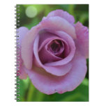 Summer Rose Notebook