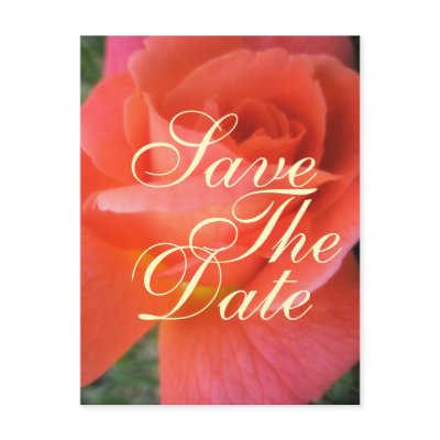 Summer rose save the date wedding announcement postcards