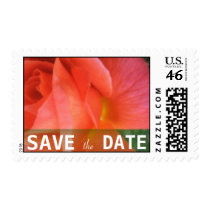 Summer Rose Wedding Stamp