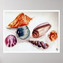Summer Sea Shells Print